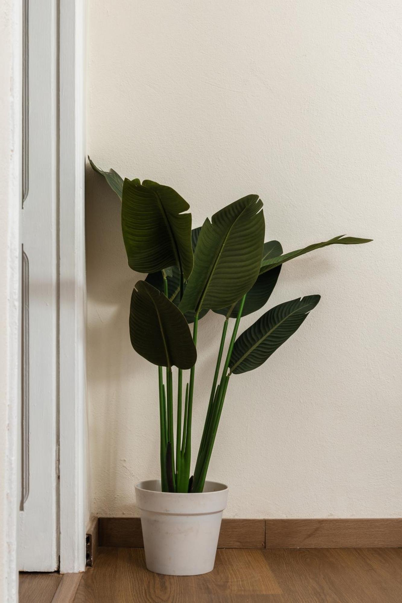 Apartamento Cozy Historical Flat Napoli Exterior foto